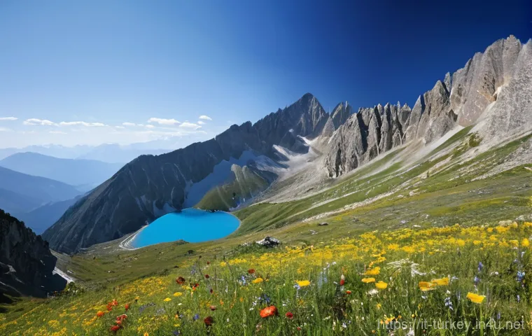 튀르키예의 주요 자연 보호 구역 - **Prompt:** A majestic, panoramic view of the Kaçkar Mountains in northeastern Turkey. Towering alpi...