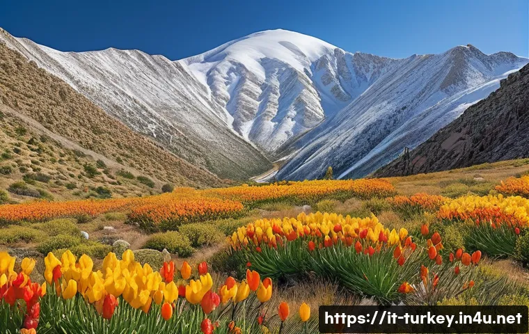 튀르키예 식물학적 연구와 생태계 - A detailed landscape of Turkey’s diverse flora showcasing endemic plant species such as Abies cilici...
