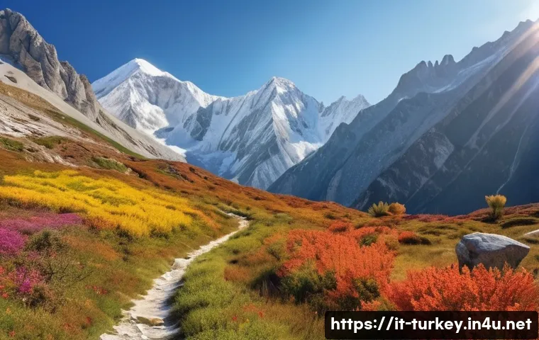 튀르키예 국립공원 탐방 - A breathtaking panoramic view of the Kaçkar National Park in northeastern Turkey during early autumn...