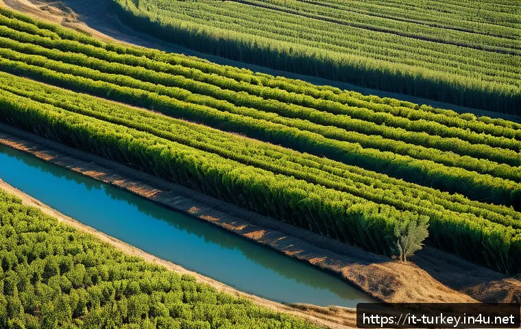 튀르키예의 농업과 주요 생산물 - A vibrant Turkish agricultural landscape showcasing diverse climates: sunlit Egean and Mediterranean...