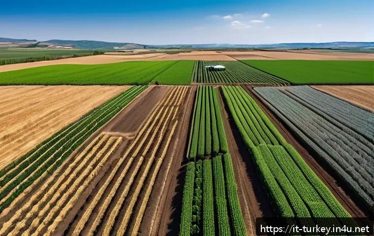 튀르키예 농업 기술의 혁신 - A modern Turkish farm in Central Anatolia featuring a wide field with IoT sensors embedded in the so...